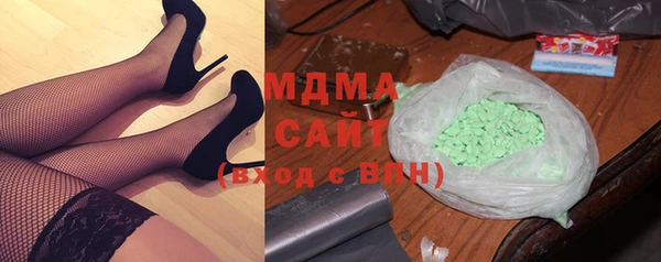 гашик Ельня