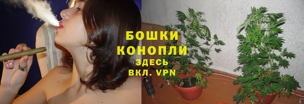 гашик Ельня