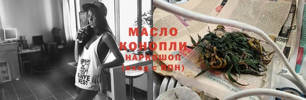 гашик Ельня