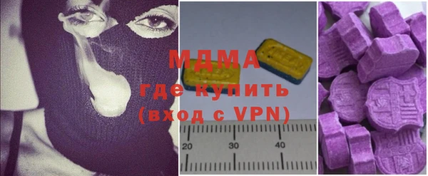 гашик Ельня