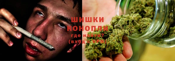 гашик Ельня