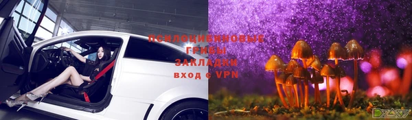 гашик Ельня