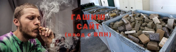 гашик Ельня