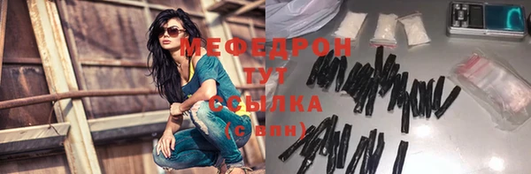 гашик Ельня