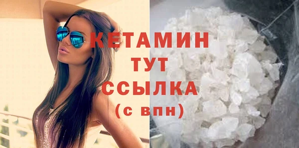 гашик Ельня