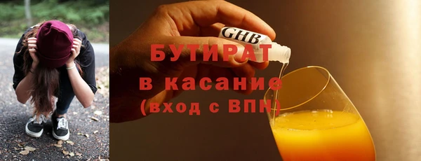 гашик Ельня