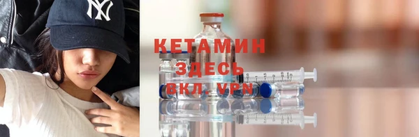 гашик Ельня