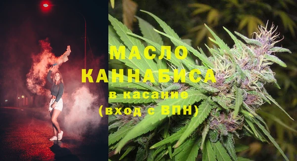 гашик Ельня
