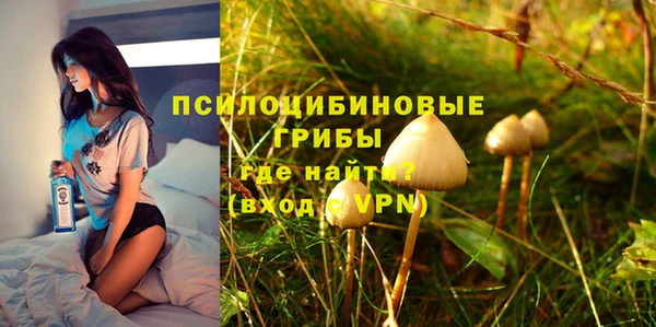 гашик Ельня