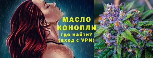 гашик Ельня