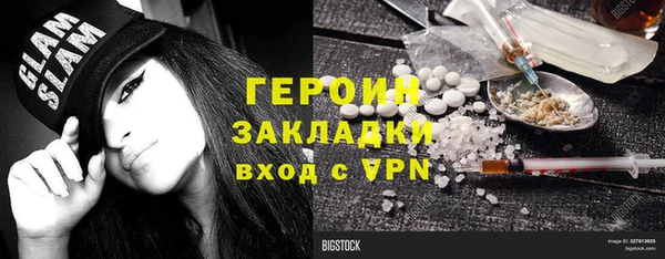 гашик Ельня