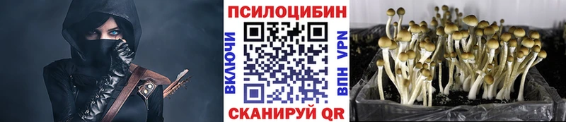 Купить где  Подпорожье  Галлюциногенные грибы Magic Shrooms 