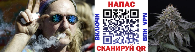 Бошки Шишки Amnesia  Купить закладки  Подпорожье 
